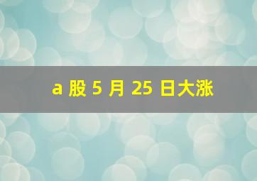 a 股 5 月 25 日大涨